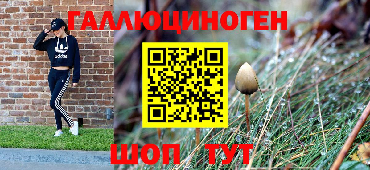 Железногорск  Галлюциногенные грибы прущие грибы  Вход с VPN 
